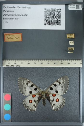 Media type: image;   Entomology 174944